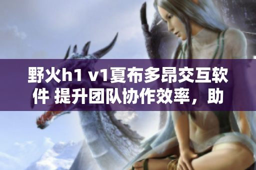 野火h1 v1夏布多昂交互软件 提升团队协作效率，助力项目管理