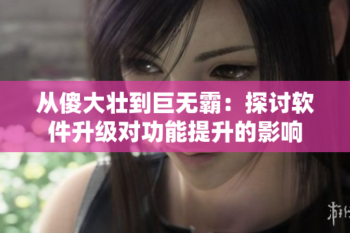 从傻大壮到巨无霸：探讨软件升级对功能提升的影响