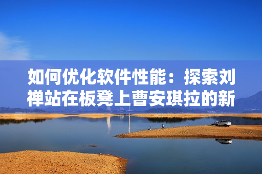 如何优化软件性能：探索刘禅站在板凳上曹安琪拉的新视角