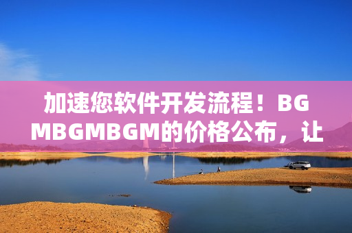 加速您软件开发流程！BGMBGMBGM的价格公布，让您更高效地完成项目