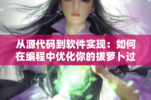 从源代码到软件实现：如何在编程中优化你的拔萝卜过程