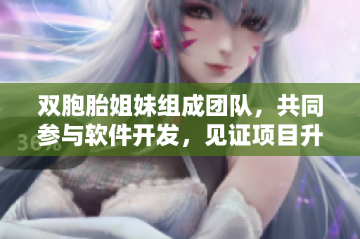 双胞胎姐妹组成团队，共同参与软件开发，见证项目升级过程