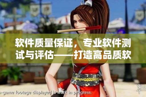 软件质量保证，专业软件测试与评估——打造高品质软件的必经之路
