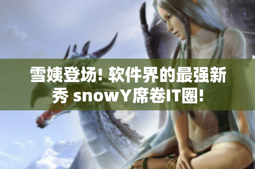 雪姨登场! 软件界的最强新秀 snowY席卷IT圈!