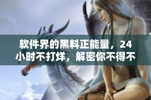 软件界的黑料正能量，24小时不打烊，解密你不得不知道的软件奥秘