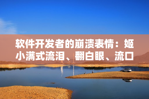 软件开发者的崩溃表情：姬小满式流泪、翻白眼、流口水