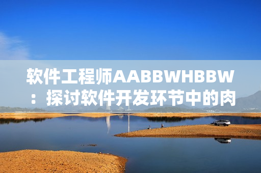 软件工程师AABBWHBBW：探讨软件开发环节中的肉体与情感