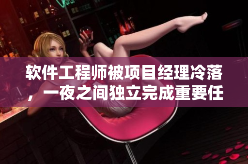 软件工程师被项目经理冷落，一夜之间独立完成重要任务的奇妙经历