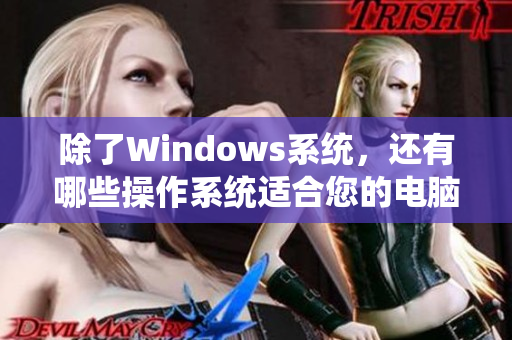 除了Windows系统，还有哪些操作系统适合您的电脑使用？
