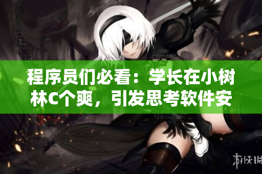 程序员们必看：学长在小树林C个爽，引发思考软件安全性