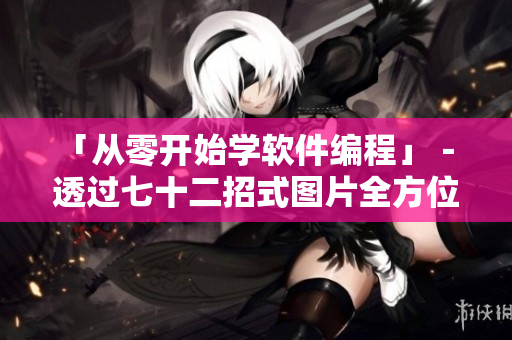 「从零开始学软件编程」－ 透过七十二招式图片全方位掌握编程技巧