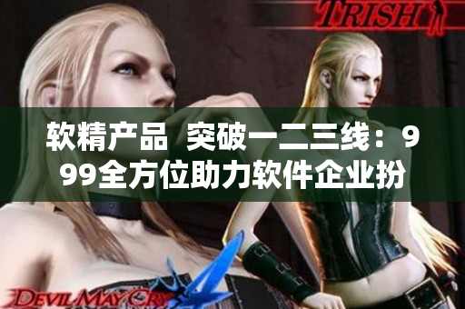软精产品  突破一二三线：999全方位助力软件企业扮演领导者