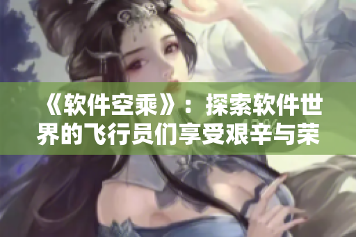 《软件空乘》：探索软件世界的飞行员们享受艰辛与荣耀