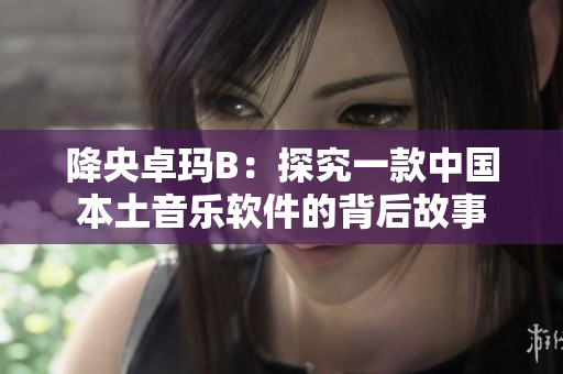 降央卓玛B：探究一款中国本土音乐软件的背后故事