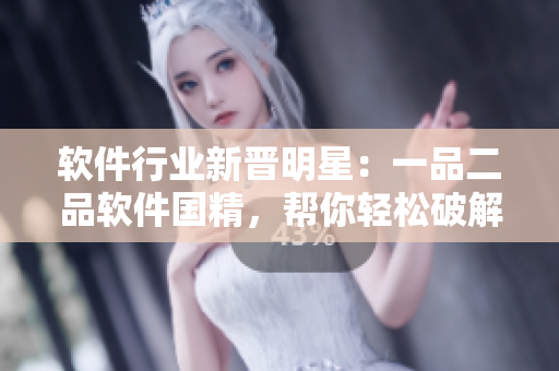 软件行业新晋明星：一品二品软件国精，帮你轻松破解所有难题！