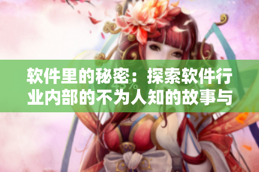 软件里的秘密：探索软件行业内部的不为人知的故事与技术奥秘！