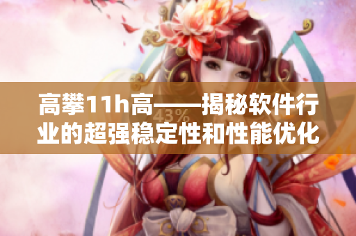 高攀11h高——揭秘软件行业的超强稳定性和性能优化之道！