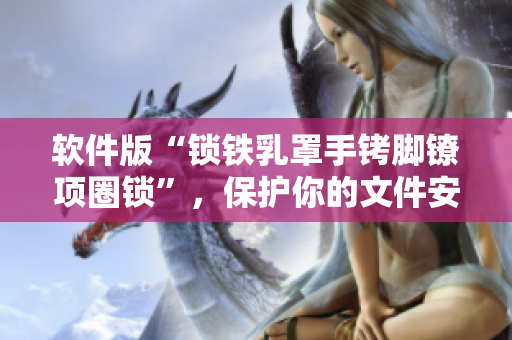 软件版“锁铁乳罩手铐脚镣项圈锁”，保护你的文件安全！