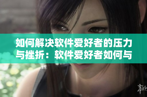 如何解决软件爱好者的压力与挫折：软件爱好者如何与技术挑战诉求平衡？