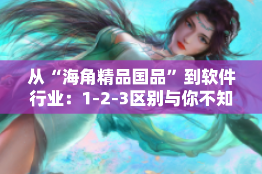 从“海角精品国品”到软件行业：1-2-3区别与你不知道的技术划分！