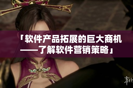 「软件产品拓展的巨大商机——了解软件营销策略」