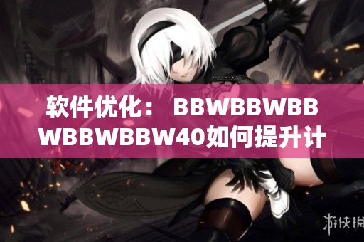 软件优化： BBWBBWBBWBBWBBW40如何提升计算机性能