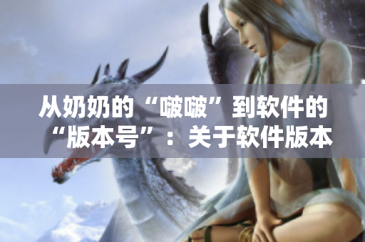 从奶奶的“啵啵”到软件的“版本号”：关于软件版本控制的重要性