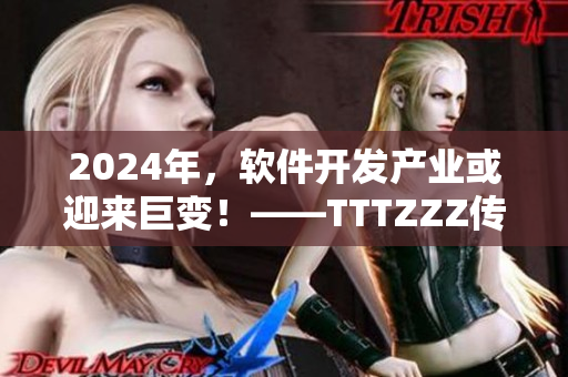 2024年，软件开发产业或迎来巨变！——TTTZZZ传送门解读