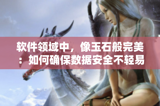 软件领域中，像玉石般完美：如何确保数据安全不轻易泄露？