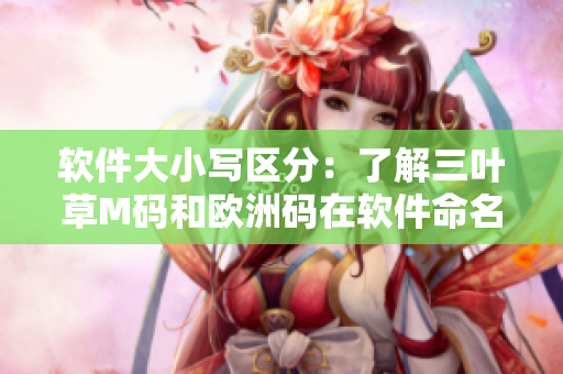 软件大小写区分：了解三叶草M码和欧洲码在软件命名中的区别