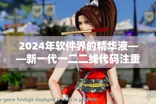 2024年软件界的精华液——新一代一二二线代码注重安全和效率