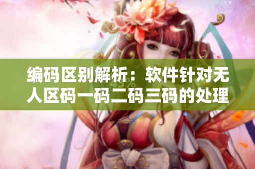 编码区别解析：软件针对无人区码一码二码三码的处理策略