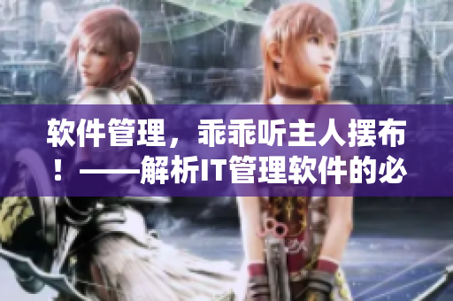 软件管理，乖乖听主人摆布！——解析IT管理软件的必要性与使用技巧