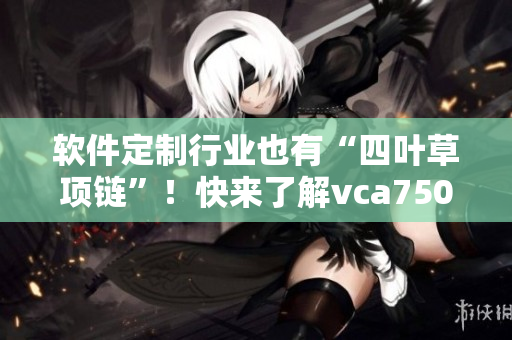 软件定制行业也有“四叶草项链”！快来了解vca750软件开发服务