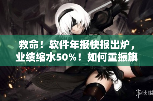 救命！软件年报快报出炉，业绩缩水50%！如何重振旗鼓？