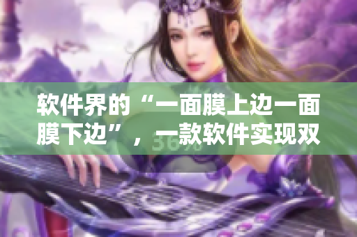 软件界的“一面膜上边一面膜下边”，一款软件实现双屏异显！