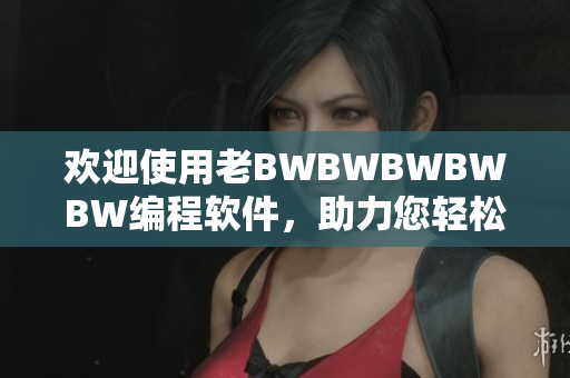 欢迎使用老BWBWBWBWBW编程软件，助力您轻松实现编程梦想！