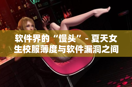 软件界的“馒头”- 夏天女生校服薄度与软件漏洞之间的共通之处
