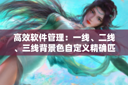 高效软件管理：一线、二线、三线背景色自定义精确匹配