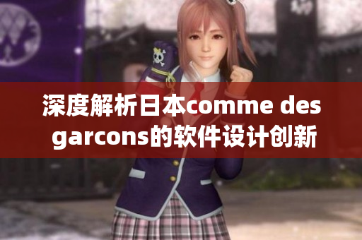 深度解析日本comme des garcons的软件设计创新性与成功之道