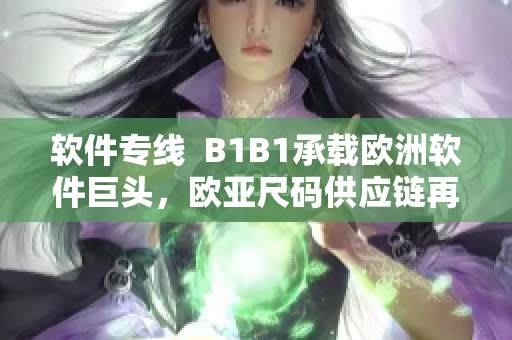 软件专线  B1B1承载欧洲软件巨头，欧亚尺码供应链再添新力量！
