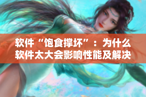 软件“饱食撑坏”：为什么软件太大会影响性能及解决方案