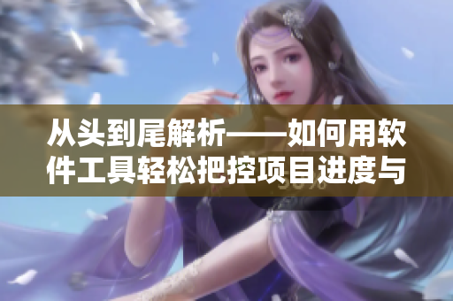 从头到尾解析——如何用软件工具轻松把控项目进度与质量