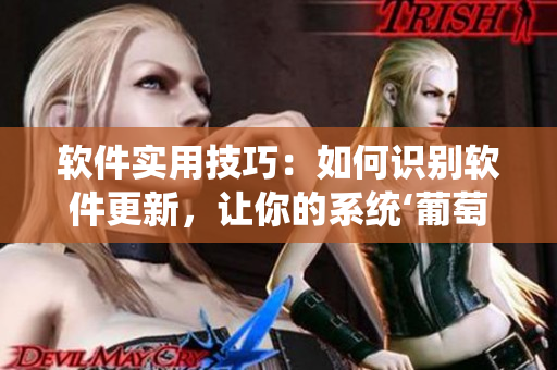 软件实用技巧：如何识别软件更新，让你的系统‘葡萄熟了’