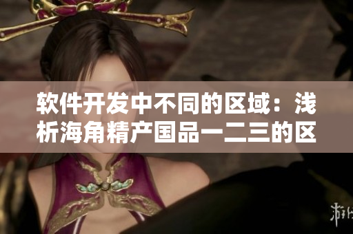 软件开发中不同的区域：浅析海角精产国品一二三的区别