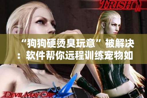 “狗狗硬烫臭玩意”被解决：软件帮你远程训练宠物如何放弃拾取危险物品