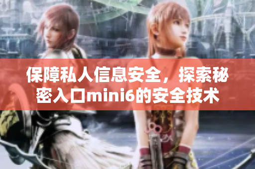保障私人信息安全，探索秘密入口mini6的安全技术