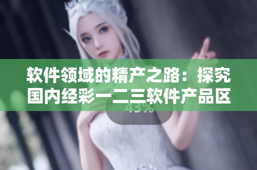 软件领域的精产之路：探究国内经彩一二三软件产品区别