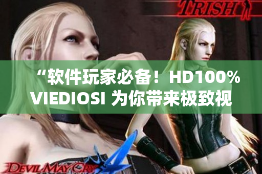 “软件玩家必备！HD100%VIEDIOSI 为你带来极致视觉体验”