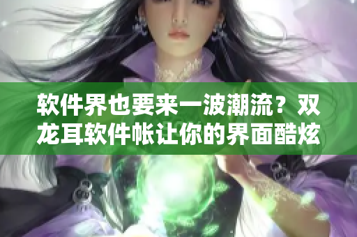 软件界也要来一波潮流？双龙耳软件帐让你的界面酷炫升级！